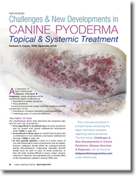 canine_pyoderma